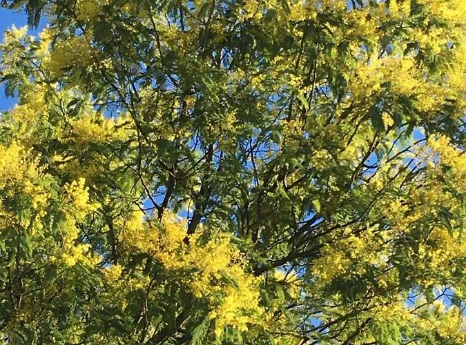 Accueil Chaleureux Séjour chez l'habitant